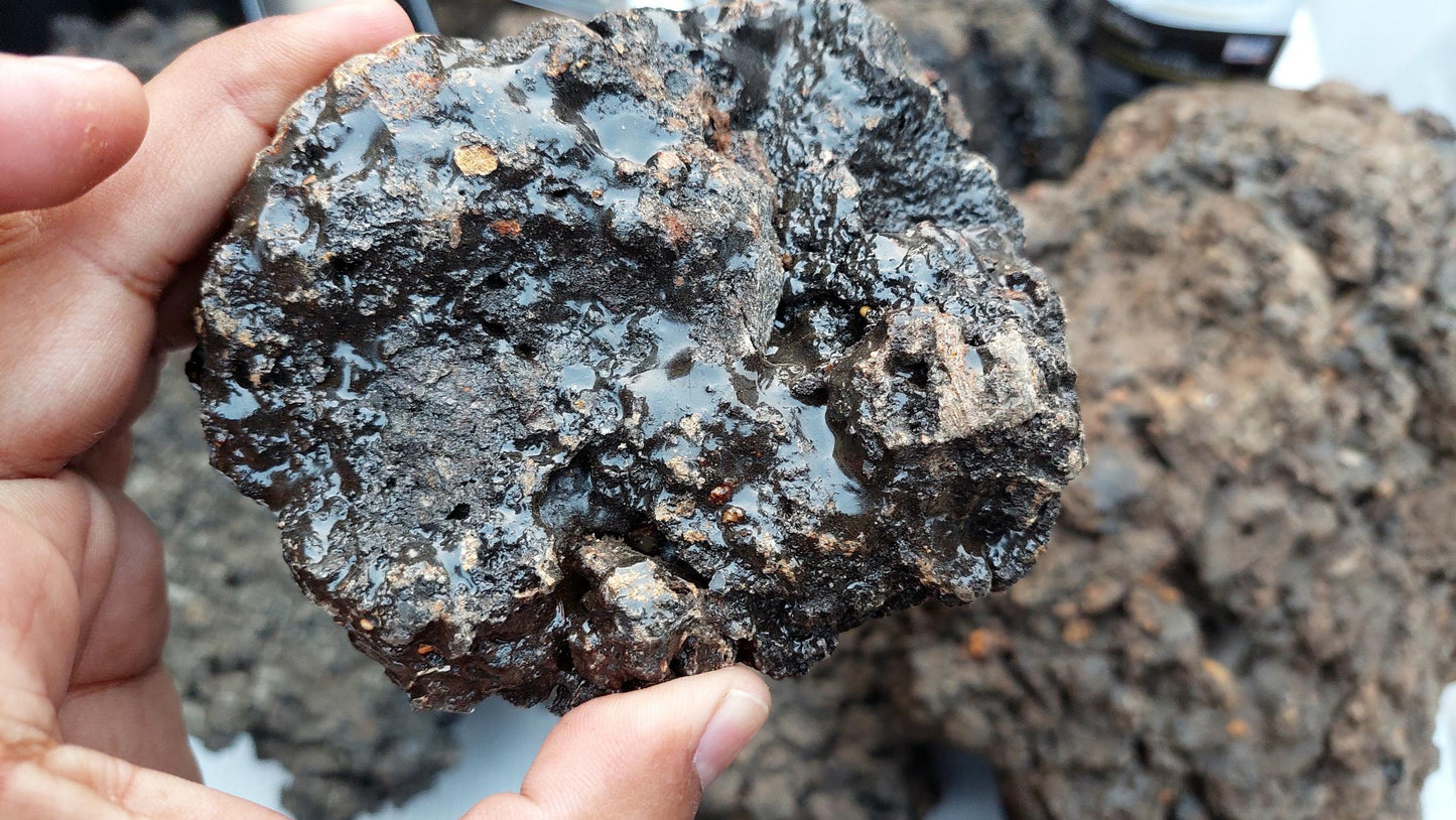 100% Pure Siberische Shilajit