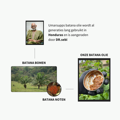 Rauwe Batana Olie (haargroei booster)