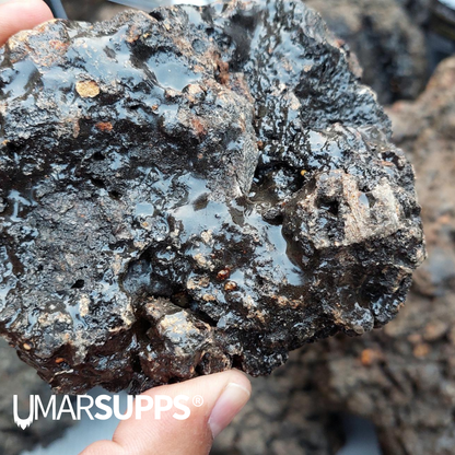Pure Siberische Shilajit