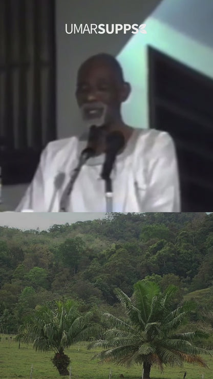 Rauwe Batana Olie (haargroei booster)