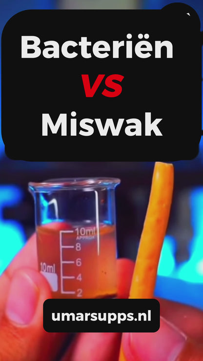 Authentieke Miswak
